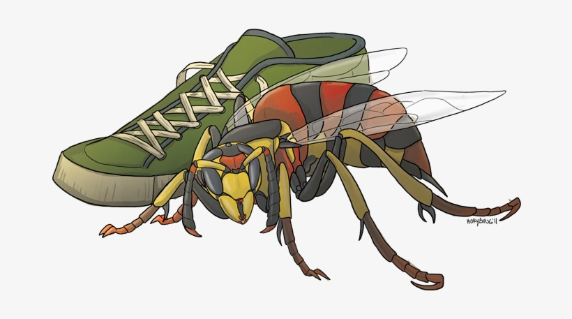 Biology - Apraxis Wasp, transparent png download