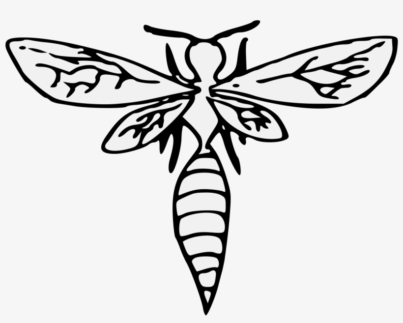 Details, Png - Library, transparent png download