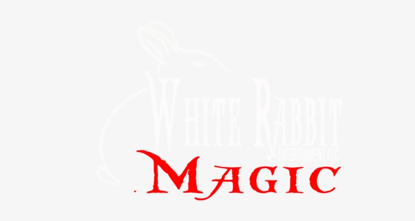 White Rabbit Entertainment - Magic Shop, transparent png download