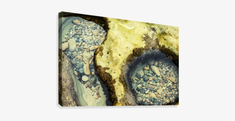 Natures Jewels Canvas Print - Photography, transparent png download