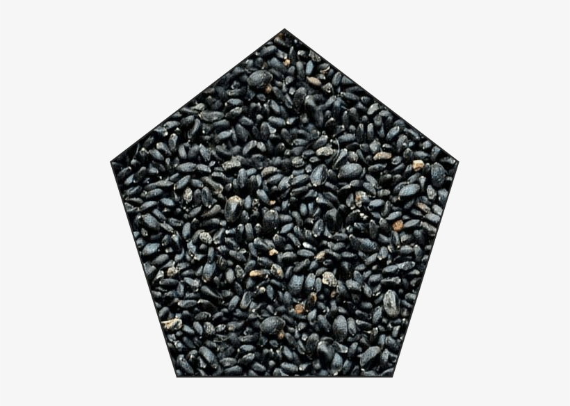 Basil Seeds - Pebble, transparent png download
