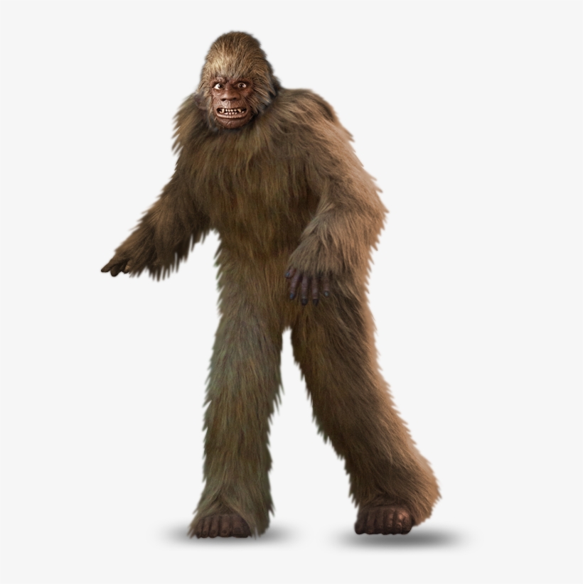 Services - Macaque, transparent png download