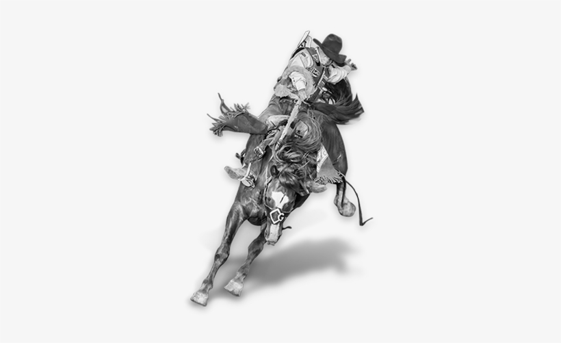 Cowboy News - Professional Bull Riders, transparent png download