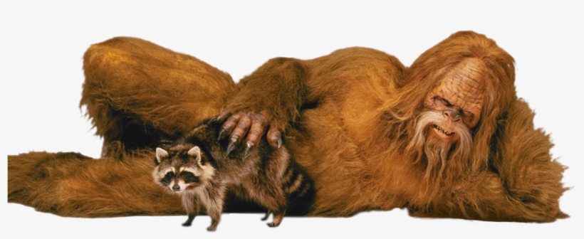 Animal & Personsasquatch - Sasquatch Meme, transparent png download