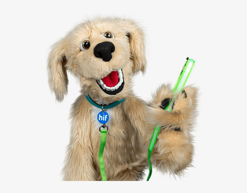 Download A Product Disclosure Statement - Pet, transparent png download