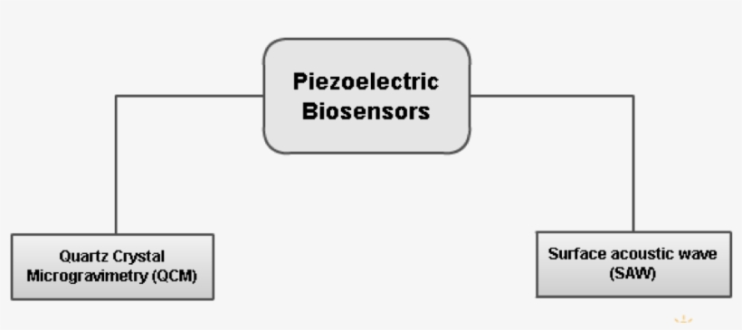 Piezoelectric Biotransducer Classification - Market, transparent png download
