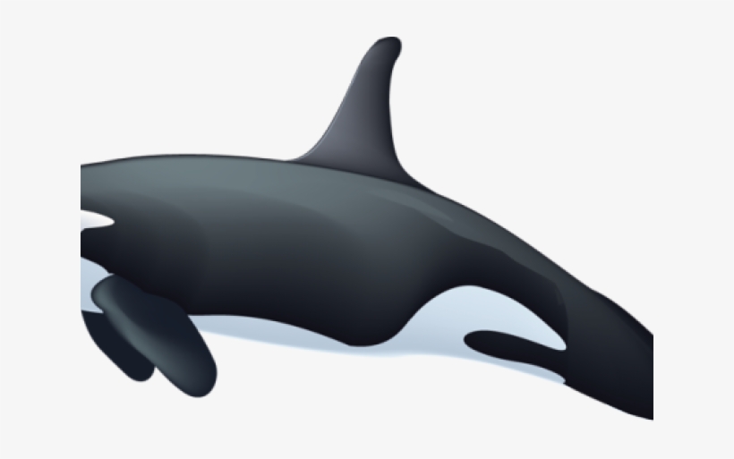 Inflatable, transparent png download