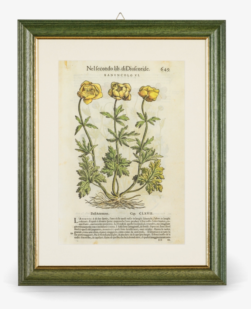 Picture Of Buttercup I Discorsi P - Buttercup, transparent png download