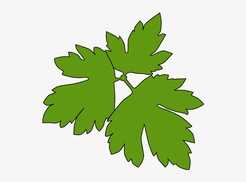 Ranunculus Acris - Meadow Buttercup, transparent png download