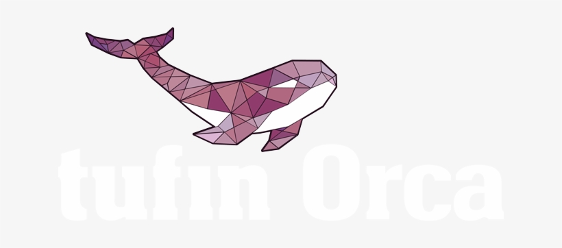 Tufin Orca, transparent png download