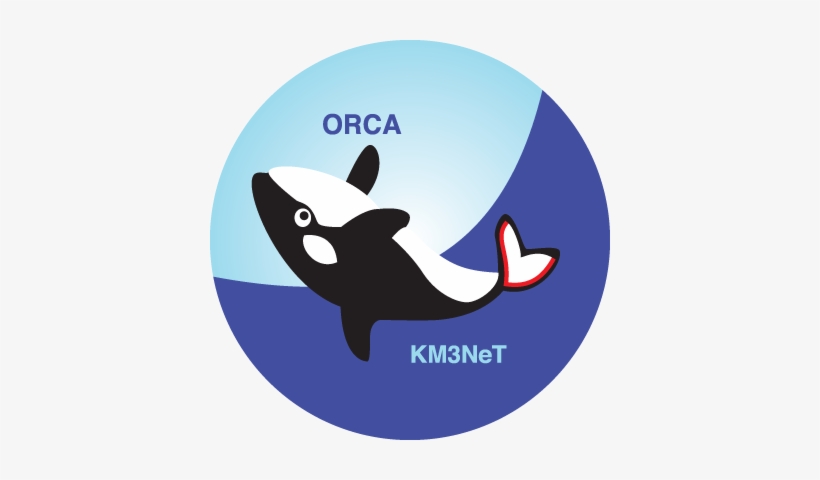 The Aim Of Orca Is To Measure The Neutrino Mass Hierarchy - Km3net Orca, transparent png download