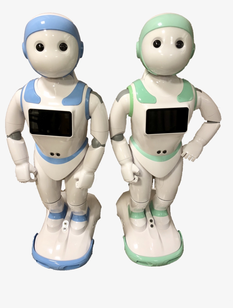 The Interaction Lab Currently Has 2 Ipals, Which Are - Cartoon, transparent png download