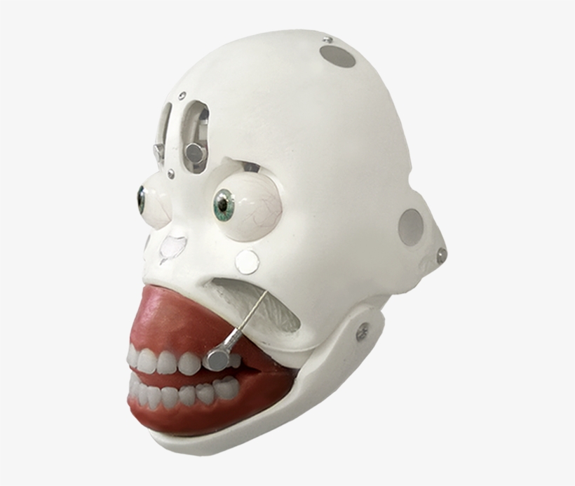 Robotic Head - Sex Robot Skull, transparent png download