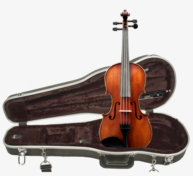 Shop, transparent png download