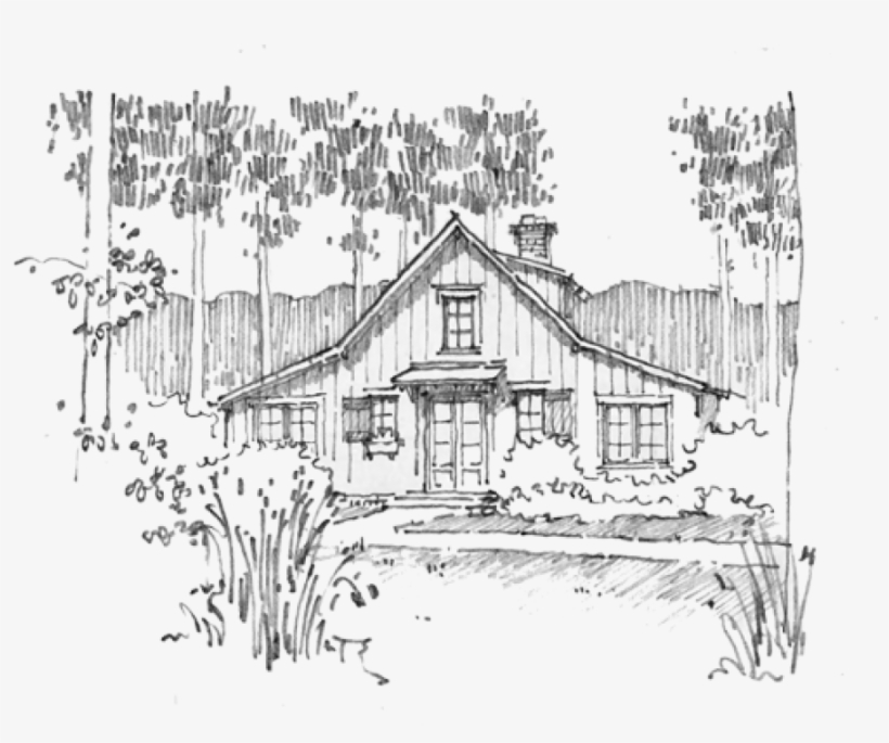 Historical Concepts - Sketch, transparent png download