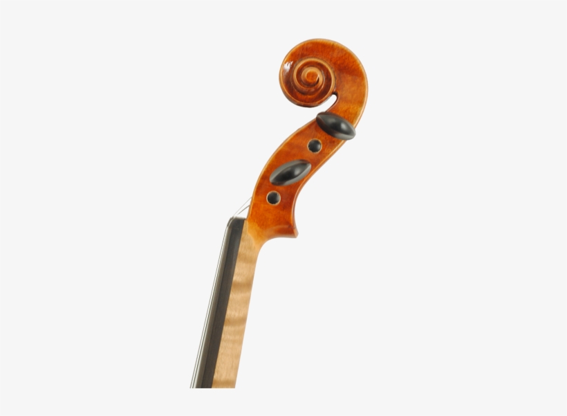 Scroll - Viola, transparent png download