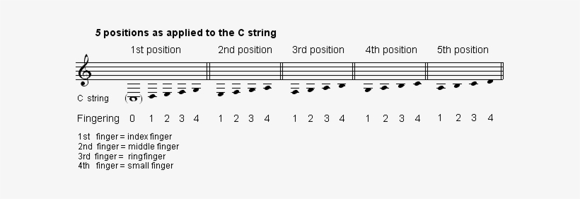 Va Sound-production Cstring 5pos En - Amina Melendro De Pulecio, transparent png download