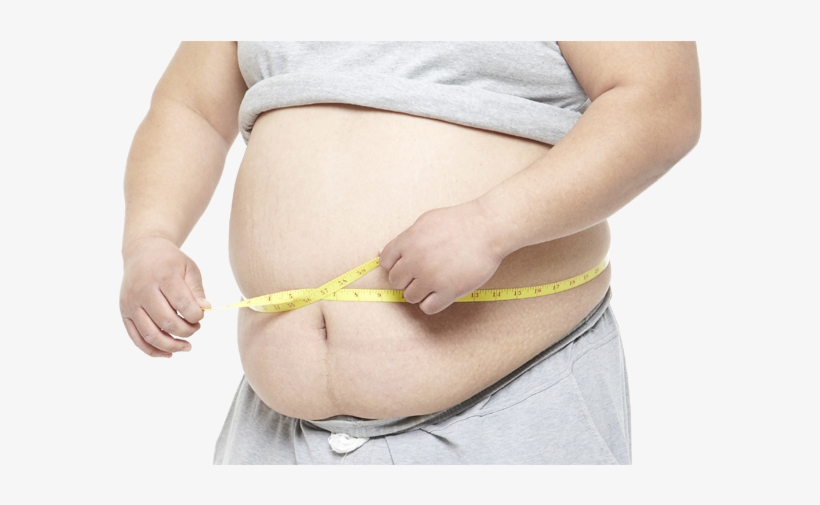 Smc Researchers Say Correct Diet Depends On Genetic - 전신 비만, transparent png download