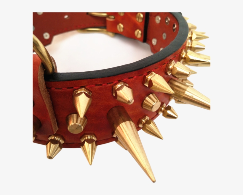 Dog Collar, transparent png download