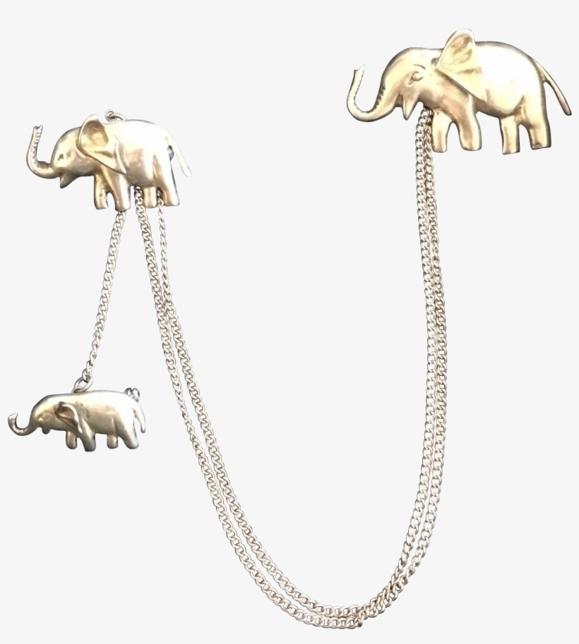 Jpg Library Library Cannes Palmes Spikes Of - Indian Elephant, transparent png download