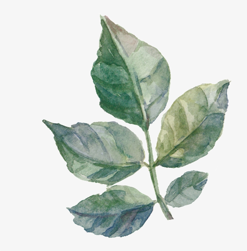 Leaf Painting, transparent png download