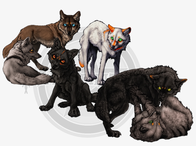 Wolf Pack Transparent Image - Wolf Pack Transparent Background, transparent png download