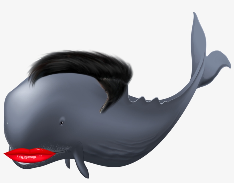 Mtw Full - Bottlenose Dolphin, transparent png download