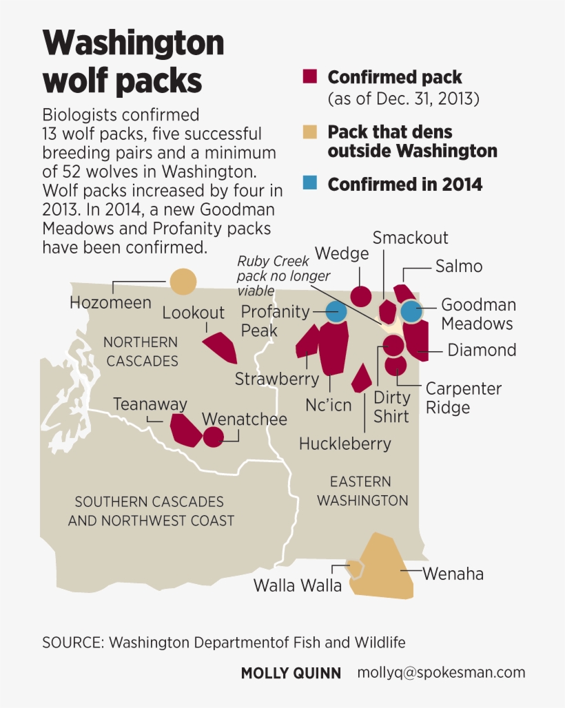 Washington Wolf Packs Continue To Evolve - Cougar Stevens County Washington, transparent png download