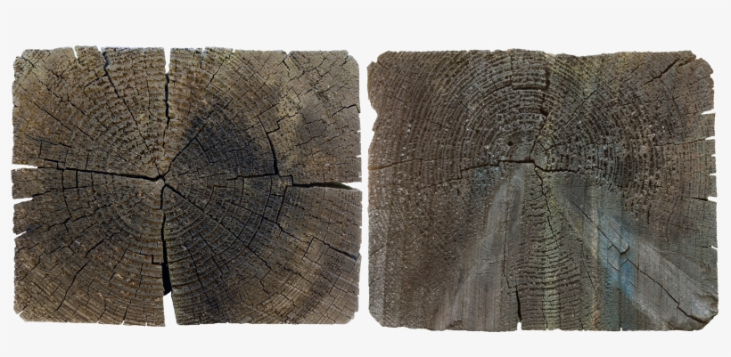 Wood End 19 - Cushion, transparent png download