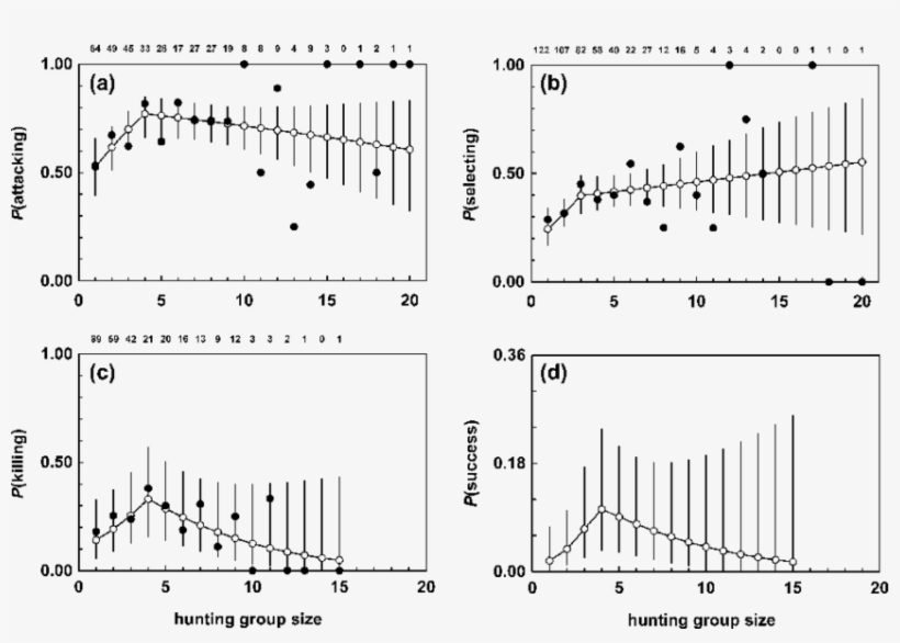 Main Effects Of Hunting Group Size On The Probability - Pack, transparent png download