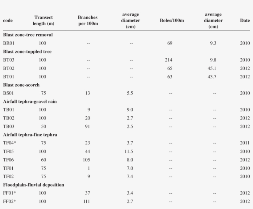 Summary Of Branches And Trunks On The Ground Surface - Document, transparent png download