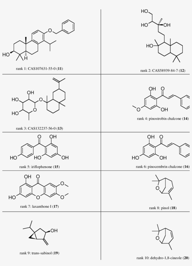 Top-ranked Virtual Hits From The External Dataset Identified - Fluorescence, transparent png download