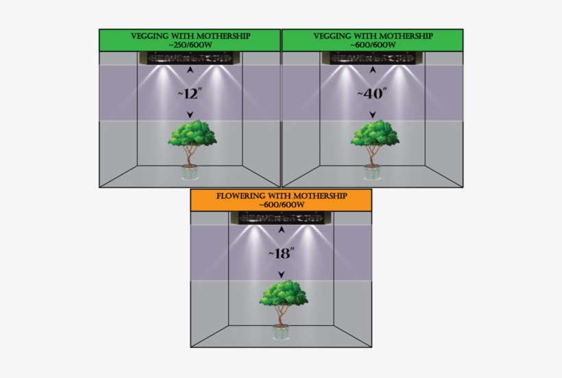 Diagram, transparent png download