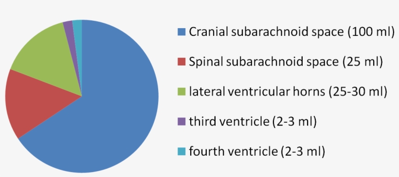 Dist Vent - Distribution Of Csf, transparent png download