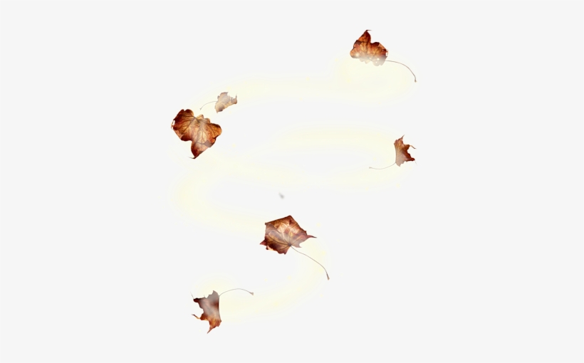 Effet Vent Png - Tubes Png Effet Vent, transparent png download