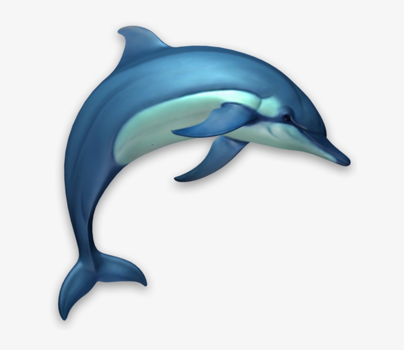 Dolphins 3d On The Mac App Store - Dolphins 3d, transparent png download