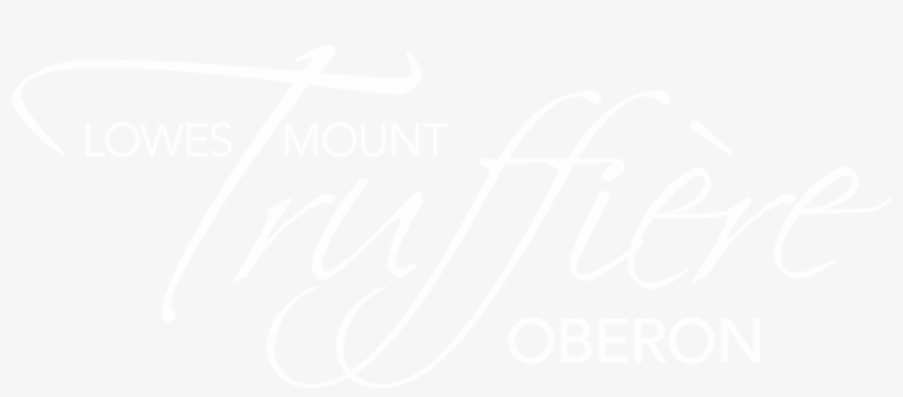 Home - French Flag 1815 1830, transparent png download