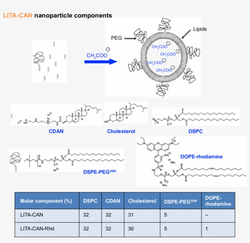 Figure S1 Lita Nanoparticle Design Principles And Percentage - Nanoparticle, transparent png download