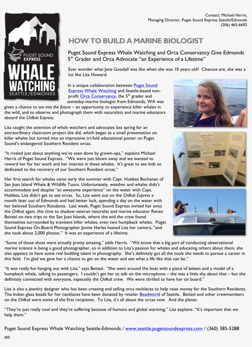 Leave Comment Cancel Reply - Discovery Of Achilles On Skyros, transparent png download