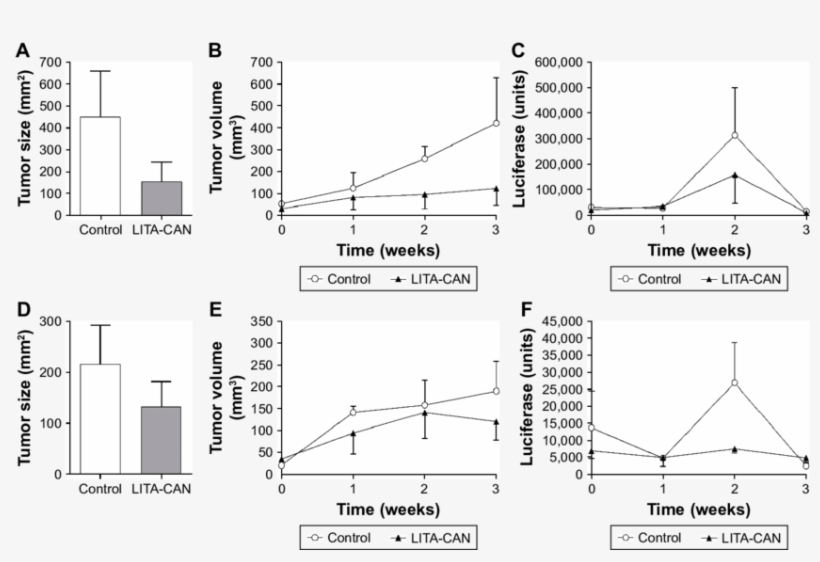 The Effects Of Lita Can Administration On Size, Volume - Diagram, transparent png download