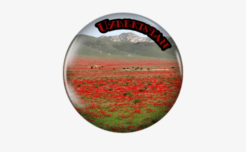 A Million More Pages - Circle, transparent png download