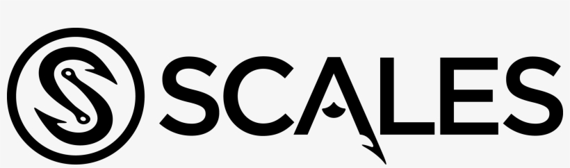 Picture - Scalefast Png, transparent png download