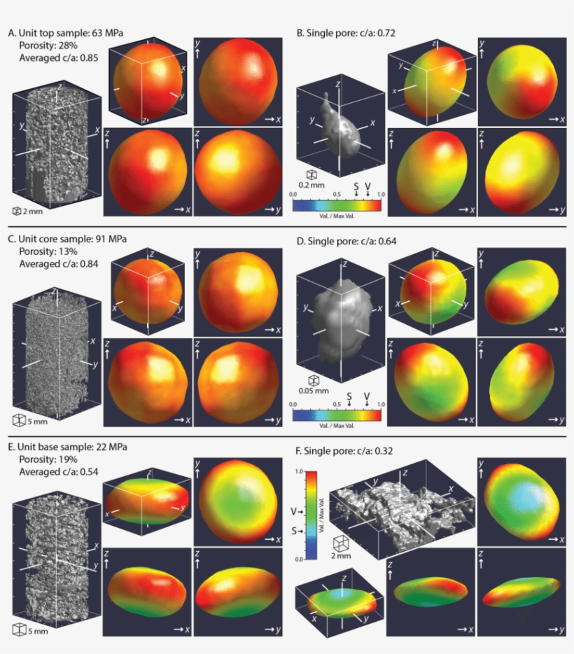 Ct Scans And 3-d Rose Plots For Vesicles Within Lava - Data, transparent png download