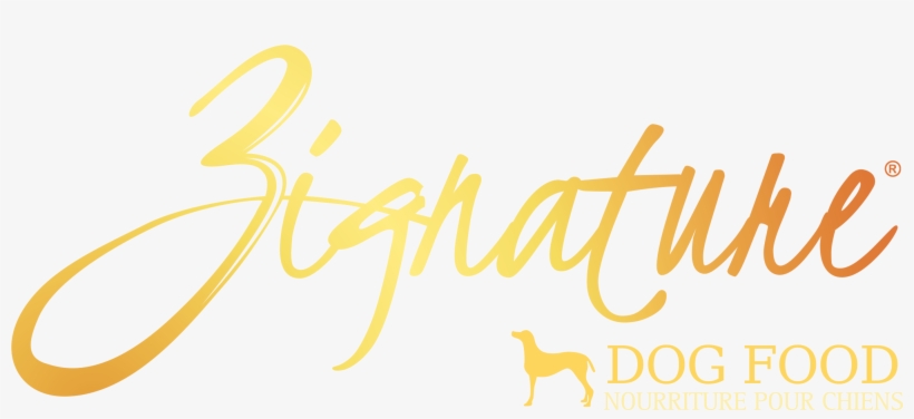 Marketing Zignature Logo Thumb - Zignature, transparent png download