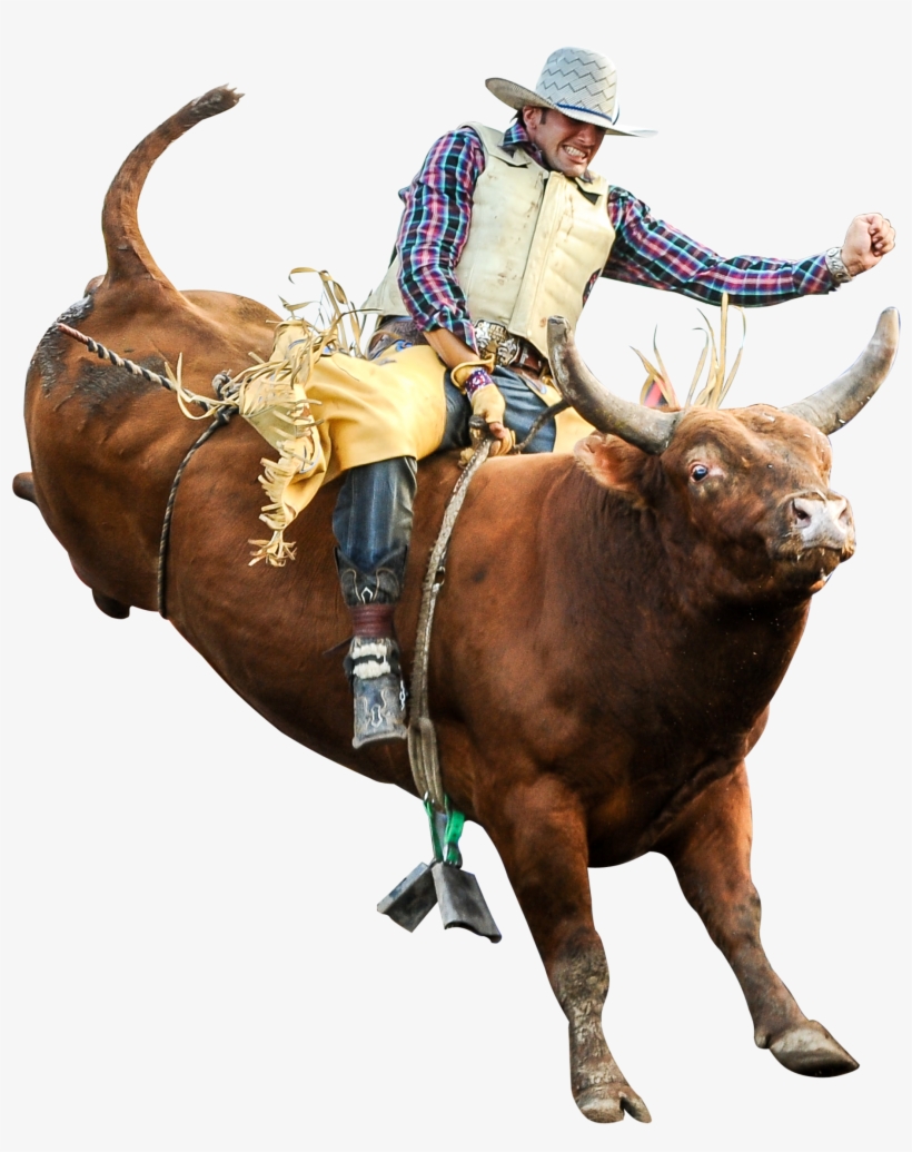 Riding Professional Riders Rodeo - Bull Riding Png Transparent PNG