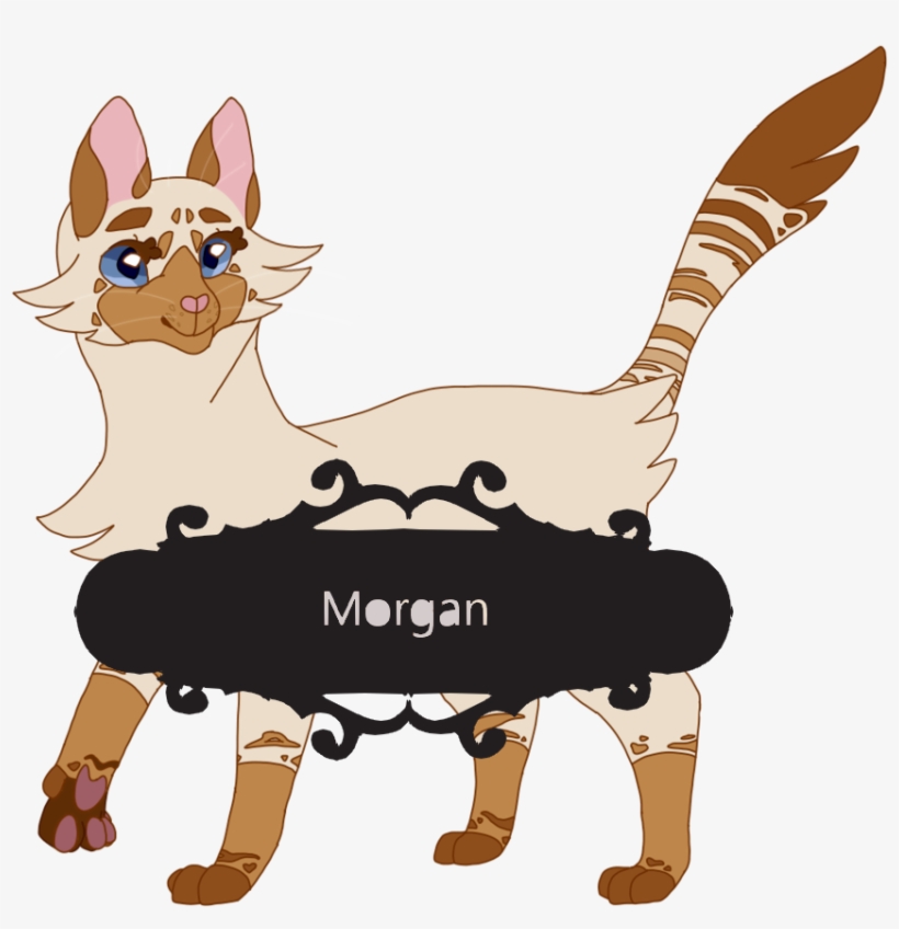 O Damn - Cat, transparent png download