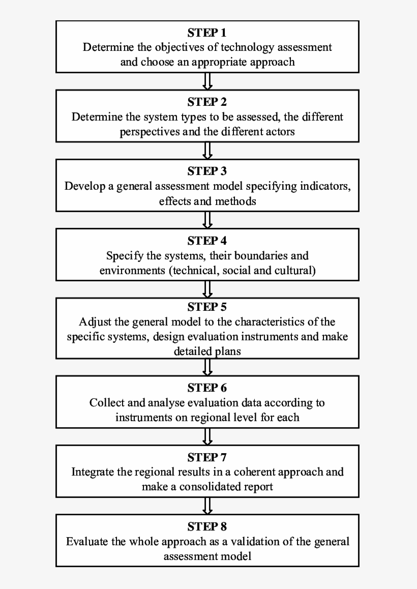 Stages In The Process Of Assessment In Picnic - Science, transparent png download