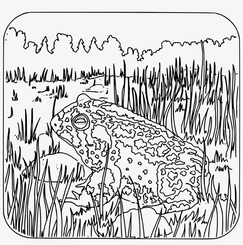 This Free Icons Png Design Of Coloring Book, transparent png download