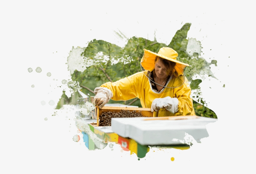 Women In Yellow Raincoat Works With Honecomb - Raincoat, transparent png download