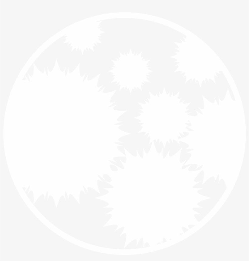 Mold Remediation - Indoor Mold, transparent png download